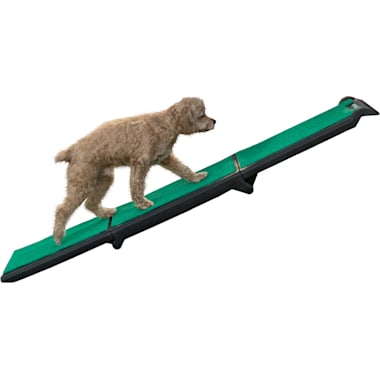 Good2go pet ramp cheap