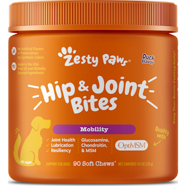 Dog Knee Pain Treatment Petco