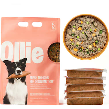 Affordable Fresh Dog Food Petco