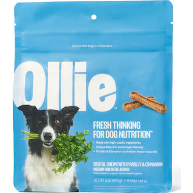 Best Dental Chews For Puppies Under 6 Months of 2024 Petco
