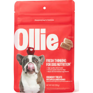 Best dog treats for french bulldogs new arrivals