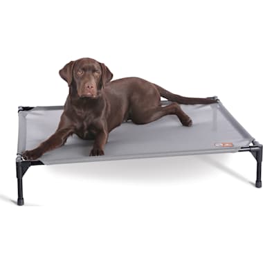 Dog Tents For Camping Petco