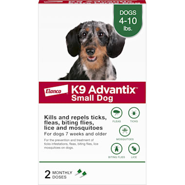 Senior dog flea control outlet