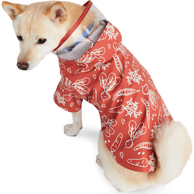 Dog Raincoat Petco