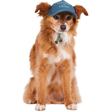 Dog hats petco clearance