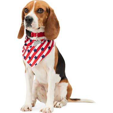 Petco birthday bandana discount
