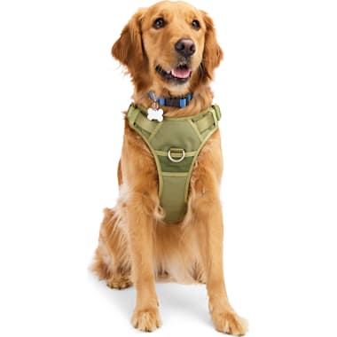 Sensation harness petco discount