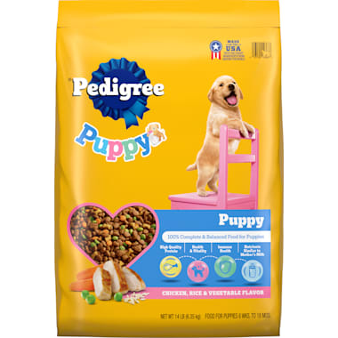 Pedigree for shih tzu best sale