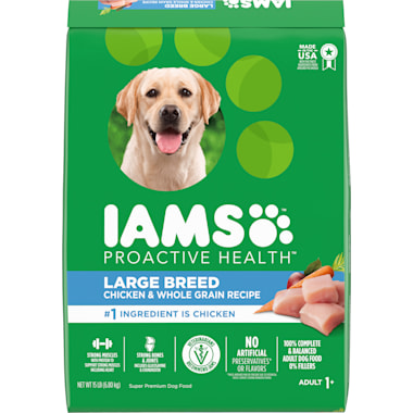 Best Dog Food Brands of 2024 Petco