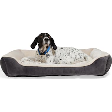 Chew proof dog bed petco top