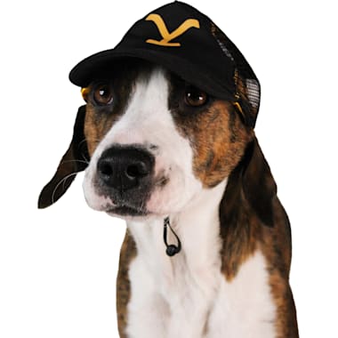 Dog hats petco shop