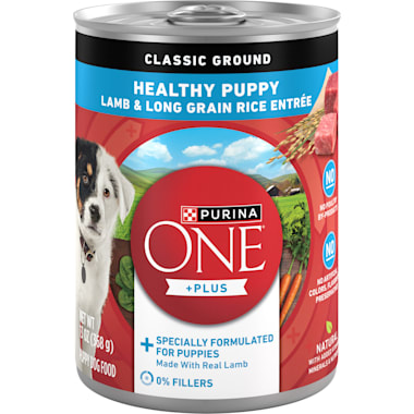 Large Breed Wet Dog Food Petco