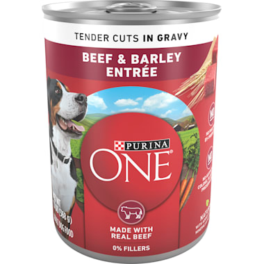 Best wet dog food for large breeds outlet