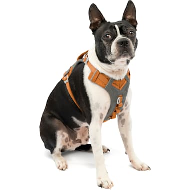 Service dog vest harness petco on sale