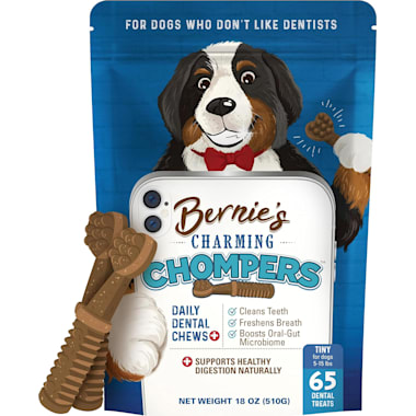 Hypoallergenic dental chews for dogs cheap