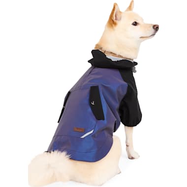 Dog Raincoat Petco