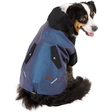 Dog raincoat petco discount