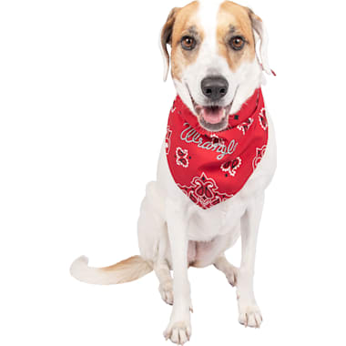 Petco birthday bandana new arrivals