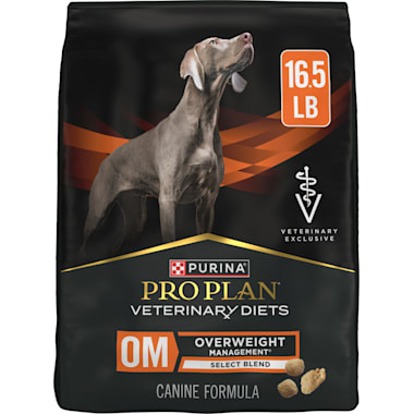 Best Dog Food For Older Labs of 2024 Petco