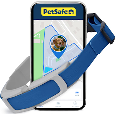 Petco invisible fence outlet