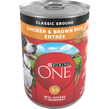 Best Wet Food For French Bulldogs Petco