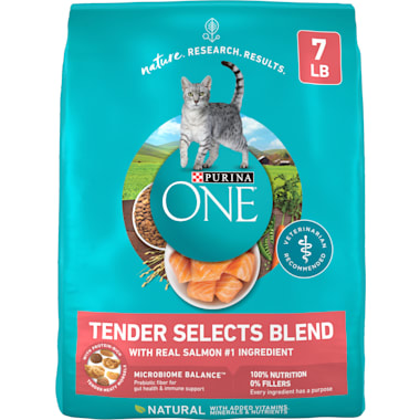 Food for cats with bad teeth top