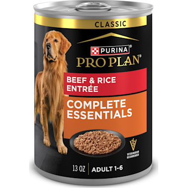 What's the best canned dog food 2025