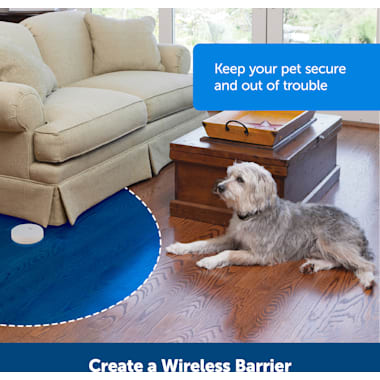 Dog Bark Control Devices Petco