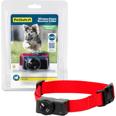 Prong dog collar petco deals