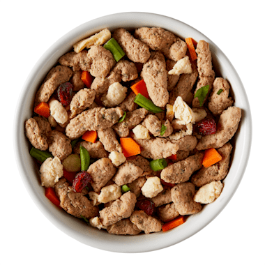 Freshpet Deli Fresh Petco