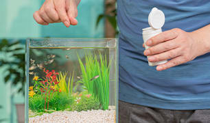  Fish Food & Nutrition
