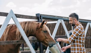  Farm Animal Nutrition