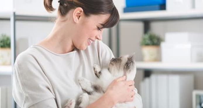 How Cats Communicate With Each Other & With You