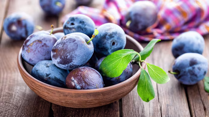 Can Dogs Eat Plums? What Pet Parents Must Know