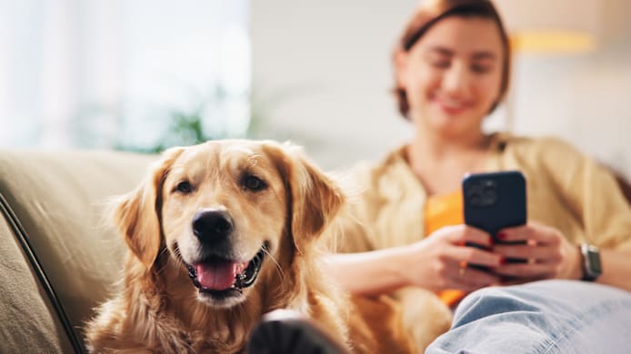 How to Transfer Your Pet's Prescription to Petco Pharmacy