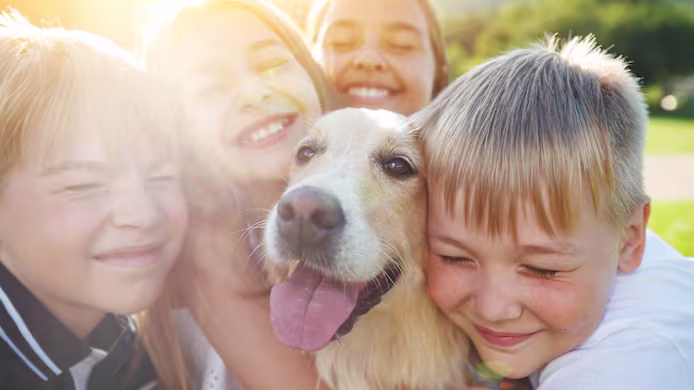 Petco Love Lost: How to Find a Lost Pet Fast