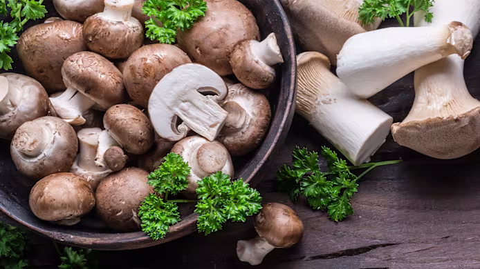 Can Dogs Eat Mushrooms? Safe Types & Toxic Risks