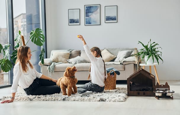 Puppy-Proofing Your Home: Room-by-Room Guide
