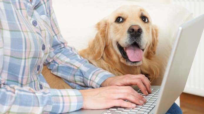 How to Fill Your Pet's Prescription at Petco: Step-by-Step Guide