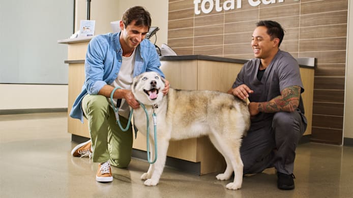 Heartworm Prevention 101: What Every Dog Owner Needs to Know