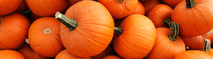 Can Dogs Eat Pumpkin? Benefits, Safety & How to Serve
