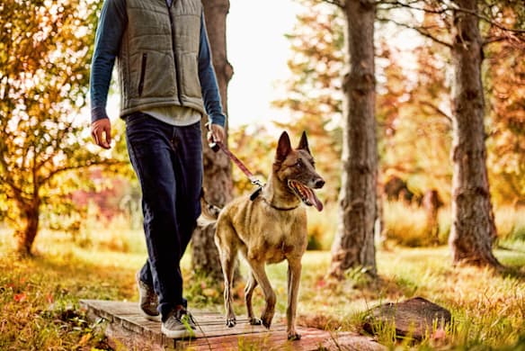 Father's Day Gifts for Dog Dads