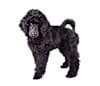 Breed Gallery Indicator 1