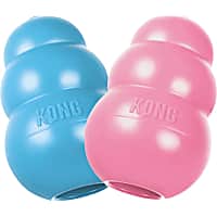 KONG Puppy Assorted Dog Toy