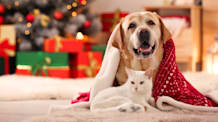 Petco Pet Education Center