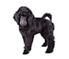 Breed Gallery Indicator 