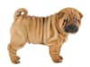 Breed Gallery Indicator 