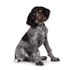 Breed Gallery Indicator 