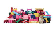 Top 10 Best Holiday Dog Gifts: Treats & Toys Your Pup Will Adore!