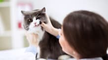 Petco Pet Education Center
